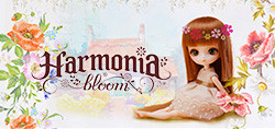 Harmonia bloom